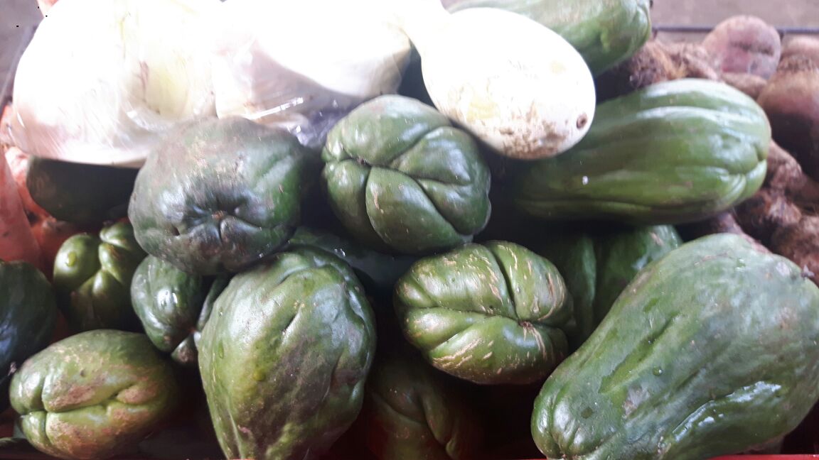 verduras